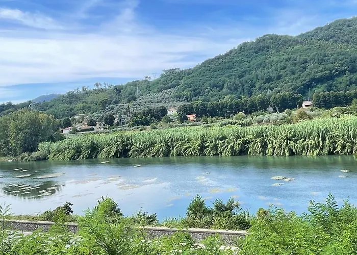 Tra Gli Olivi