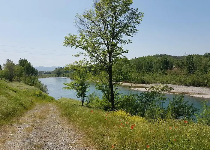 Tra Gli Olivi