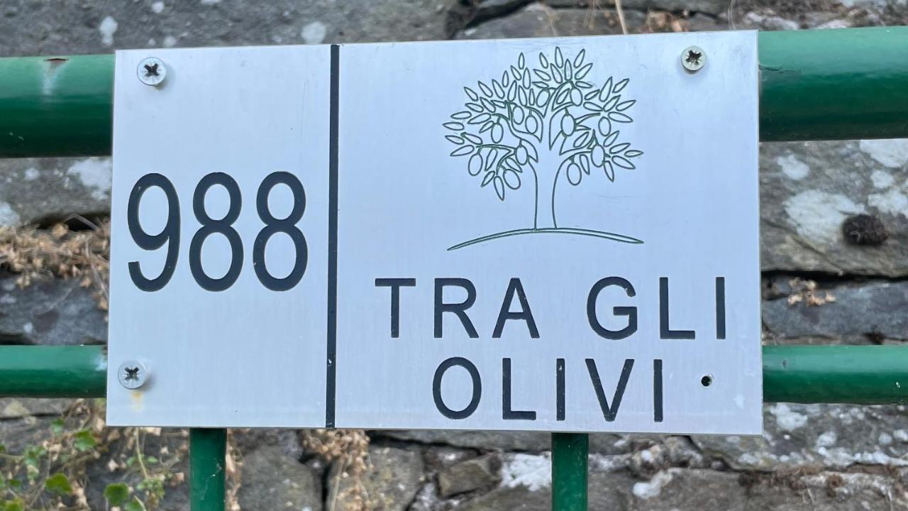 Apartment Tra Gli Olivi