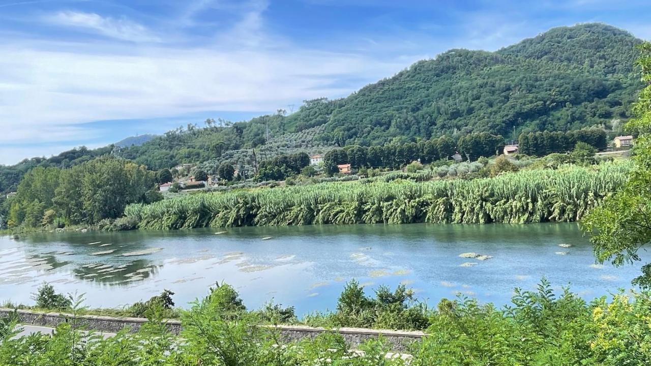 Apartment Tra Gli Olivi Lucca