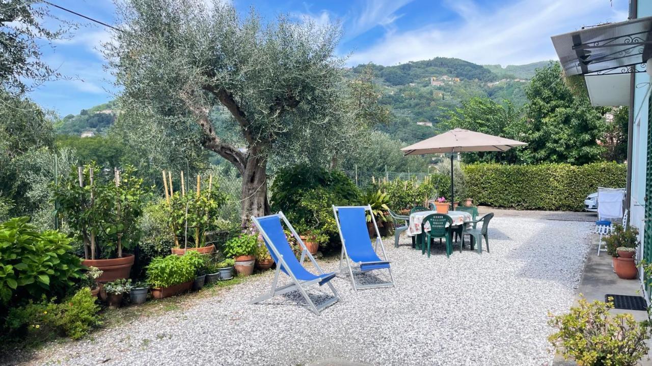 Apartamento Tra Gli Olivi *
