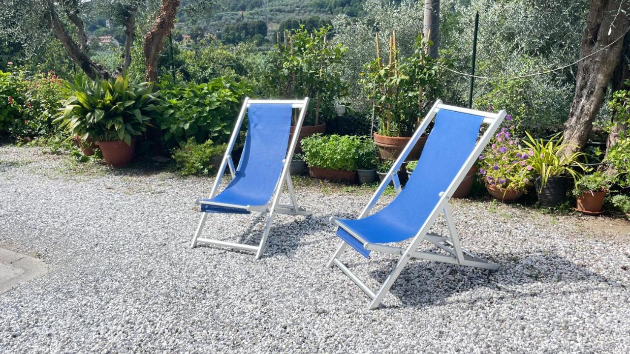 Tra Gli Olivi *