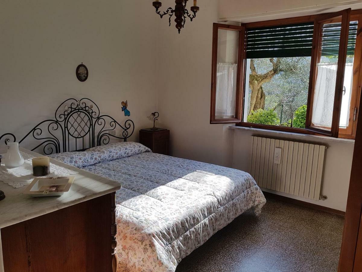 Tra Gli Olivi Apartment Lucca