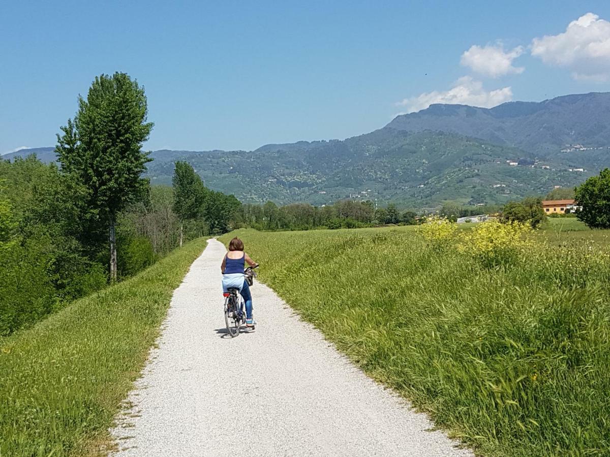 Tra Gli Olivi Lucca