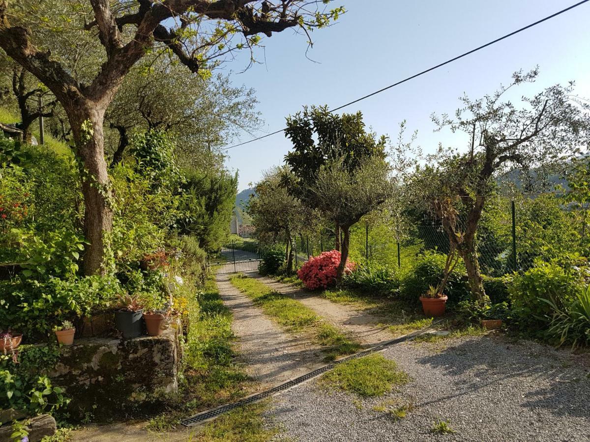 Tra Gli Olivi Apartment